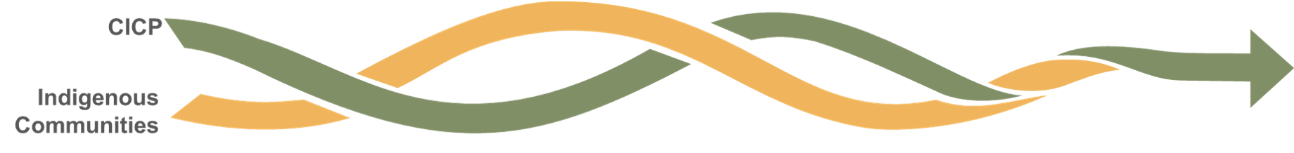 Three braided strands representing the integration of Indigenous community priorities, corporate skill, and shared learning.